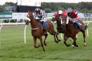 Race 7 - Lucky Robin (11)