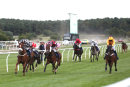 Race 7 - Lucky Robin (7)