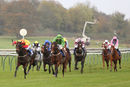 Race 7 - Lydiate Lady (2)