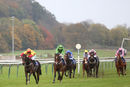 Race 7 - Lydiate Lady (3)
