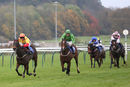 Race 7 - Lydiate Lady (4)