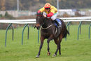 Race 7 - Lydiate Lady (5)