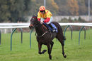 Race 7 - Lydiate Lady (6)