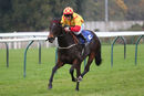 Race 7 - Lydiate Lady (7)