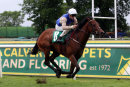 Race 7 - Lyric Harmony (6)