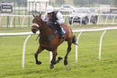 Race 7 - Mahlers Promise (4)