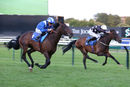 Race 7 - Maqaadeer (3)