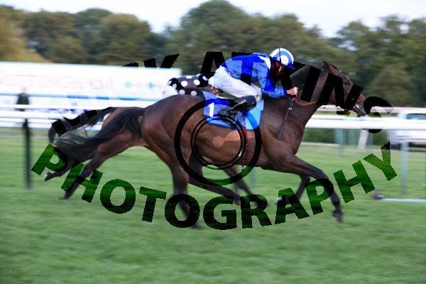 Race 7 - Maqaadeer (6)
