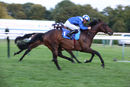 Race 7 - Maqaadeer (6)