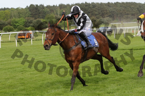 Race 7 - Midnight Mustang (10)