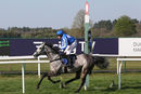 Race 7 - Montego Grey (13)
