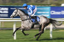 Race 7 - Montego Grey (2)