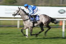 Race 7 - Montego Grey (3)