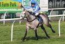 Race 7 - Montego Grey (5)