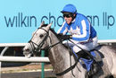 Race 7 - Montego Grey (8)