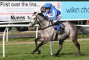 Race 7 - Montego Grey (9)