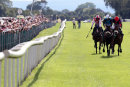 Race 7 - Mountain Breath (3)