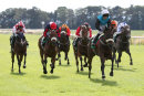 Race 7 - Mountain Breath (5)