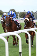 Race 7 - Mutamaasik (3)