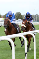 Race 7 - Mutamaasik (4)