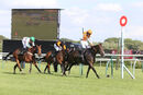 Race 7 - My Brother Mike (11)