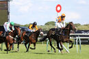 Race 7 - My Brother Mike (13)