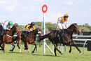Race 7 - My Brother Mike (14)