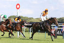 Race 7 - My Brother Mike (15)