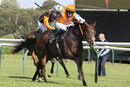 Race 7 - My Brother Mike (8)