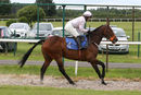 Race 7 - Native Fighter (3)