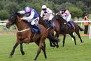 Race 7 - Native Fighter (7)