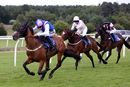 Race 7 - Native Fighter (8)