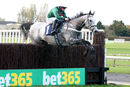 Race 7 - Numitor (3)