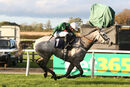 Race 7 - Numitor (9)