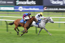 Race 7 - Oi The Club Ois (5)