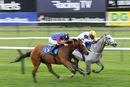 Race 7 - Oi The Club Ois (6)
