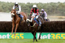 Race 7 - Old Salt (4)