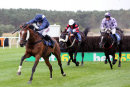 Race 7 - Old Salt (8)