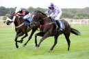 Race 7 - Old Salt (9)