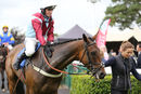 Race 7 - On The Wild Side (10)