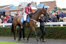Race 7 - On The Wild Side (2)