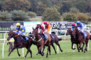 Race 7 - On The Wild Side (3)