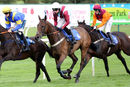 Race 7 - On The Wild Side (4)