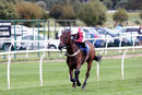 Race 7 - On The Wild Side (8)