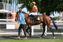 Race 7 - Order Of St John (11)