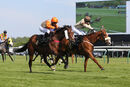 Race 7 - Order Of St John (6)
