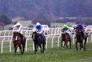 Race 7 - Oregon Gold (5)