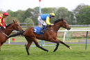 Race 7 - Orin Swift (10)