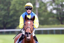 Race 7 - Orin Swift (11)