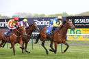 Race 7 - Orin Swift (5)